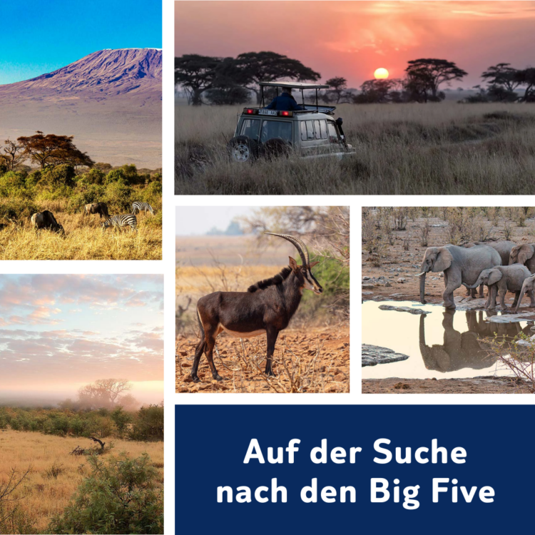 Aus Unserem Blog Die 5 Schönsten Nationalparks Afrikas