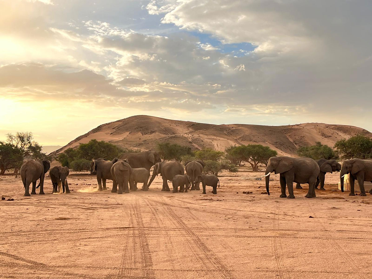 Rundreise Namibia Kundenfeedback