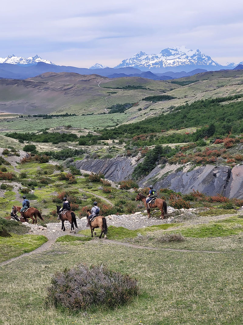 Rundreise Torres Del Paine Kundenfeedback
