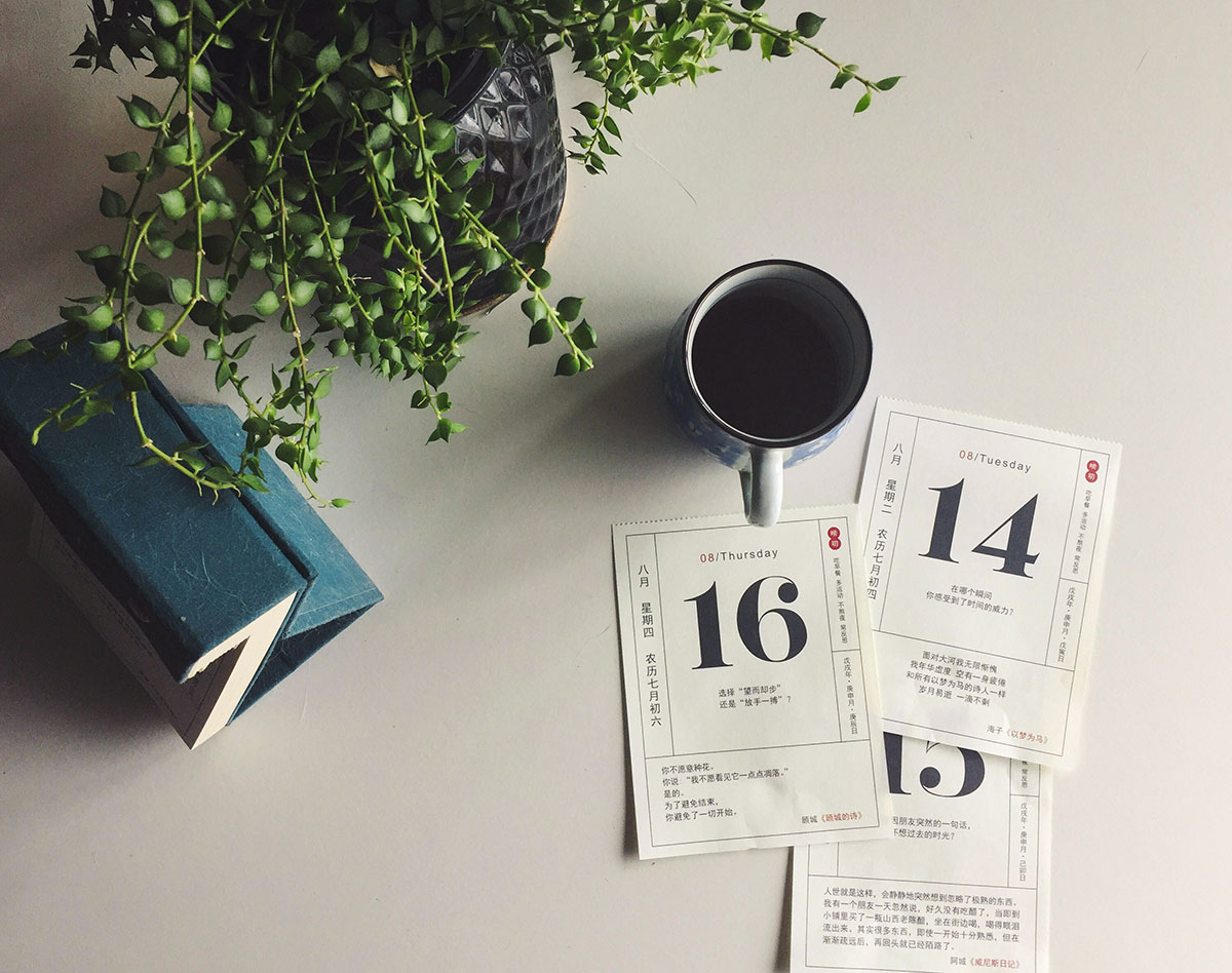 Pflanze, Tasse und Kalenderblätter